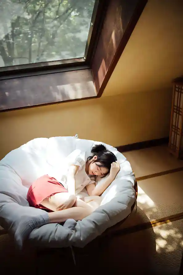 成人影视指南